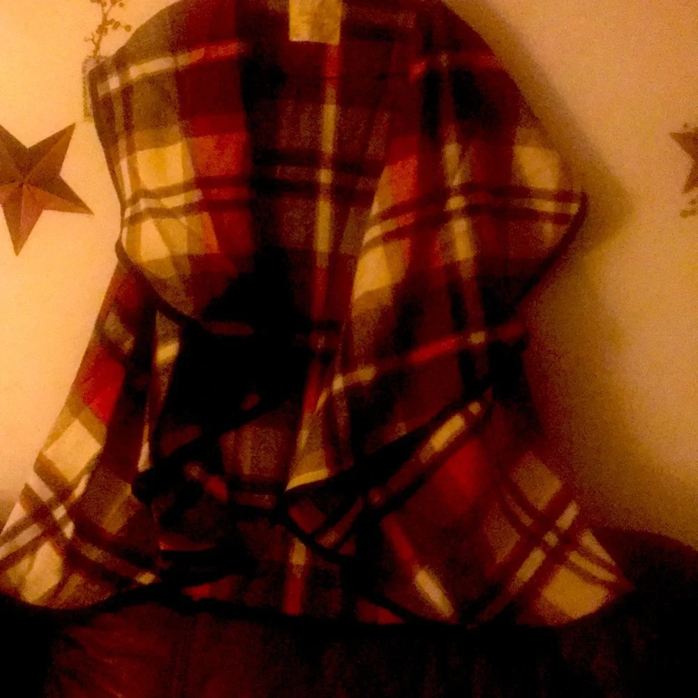 Altar’s State Festive Vest - Picture 1 of 4